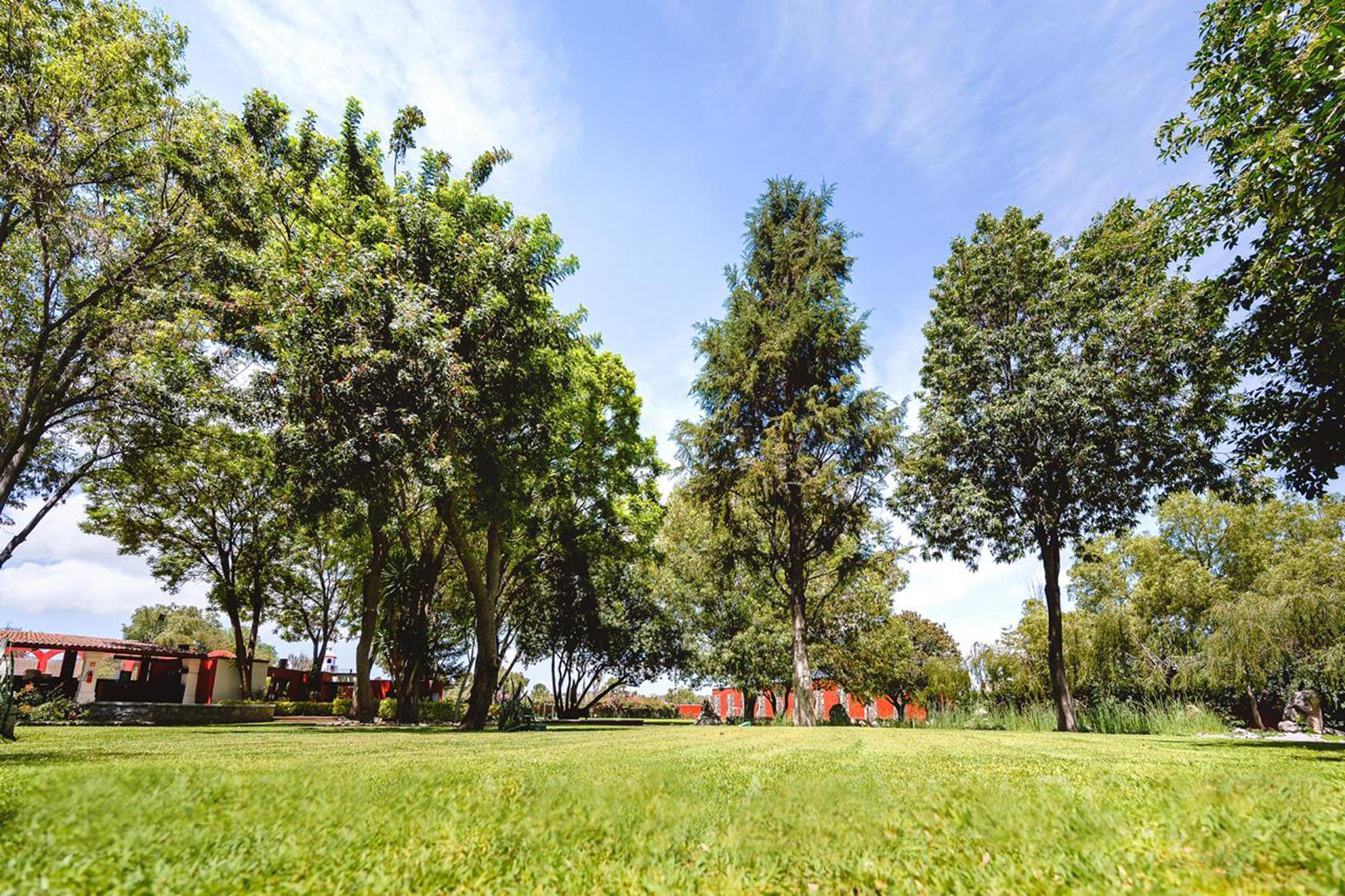 Real De Minas San Miguel De Allende Bagian luar foto The park