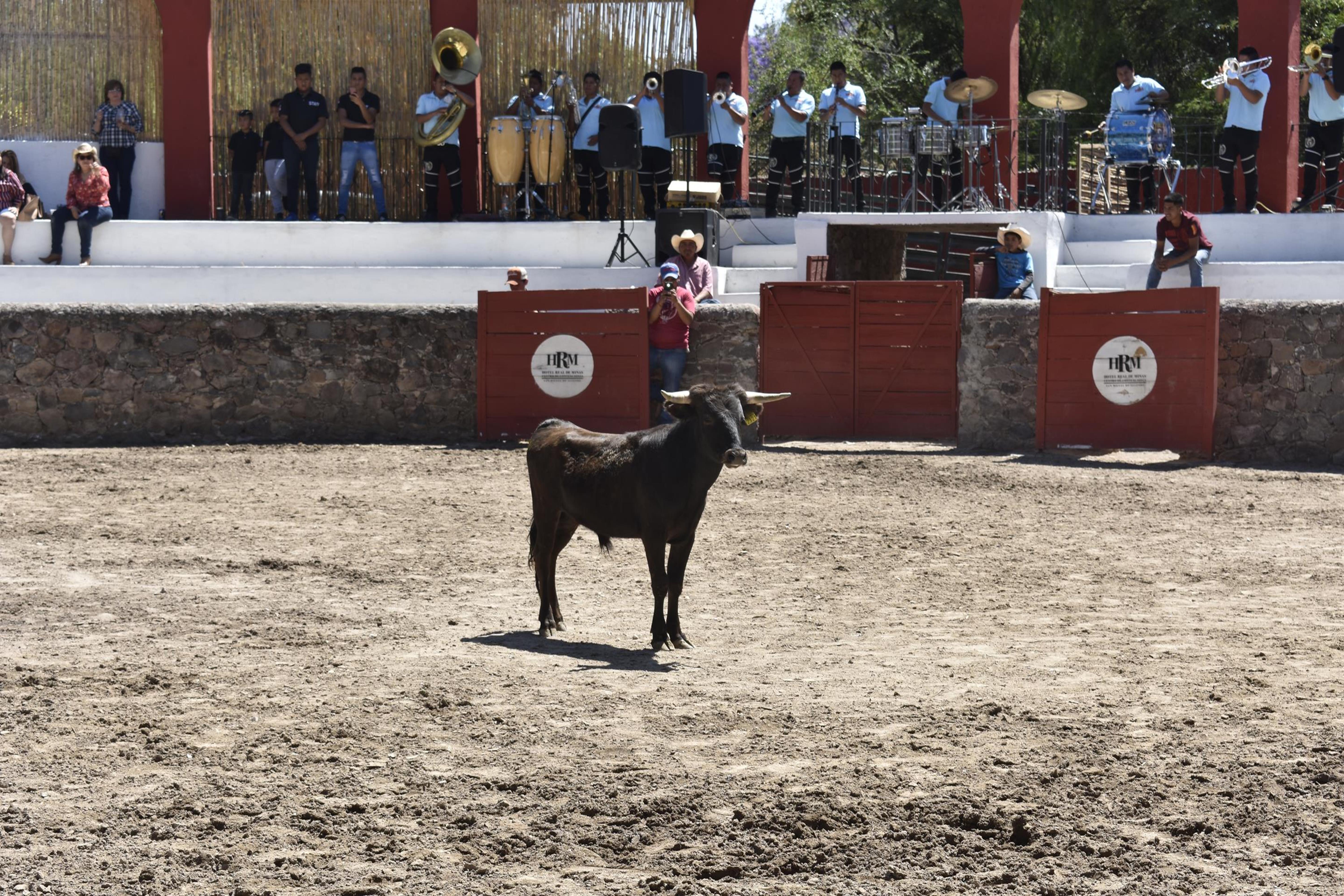 Real De Minas San Miguel De Allende Bagian luar foto A bull in the bullring