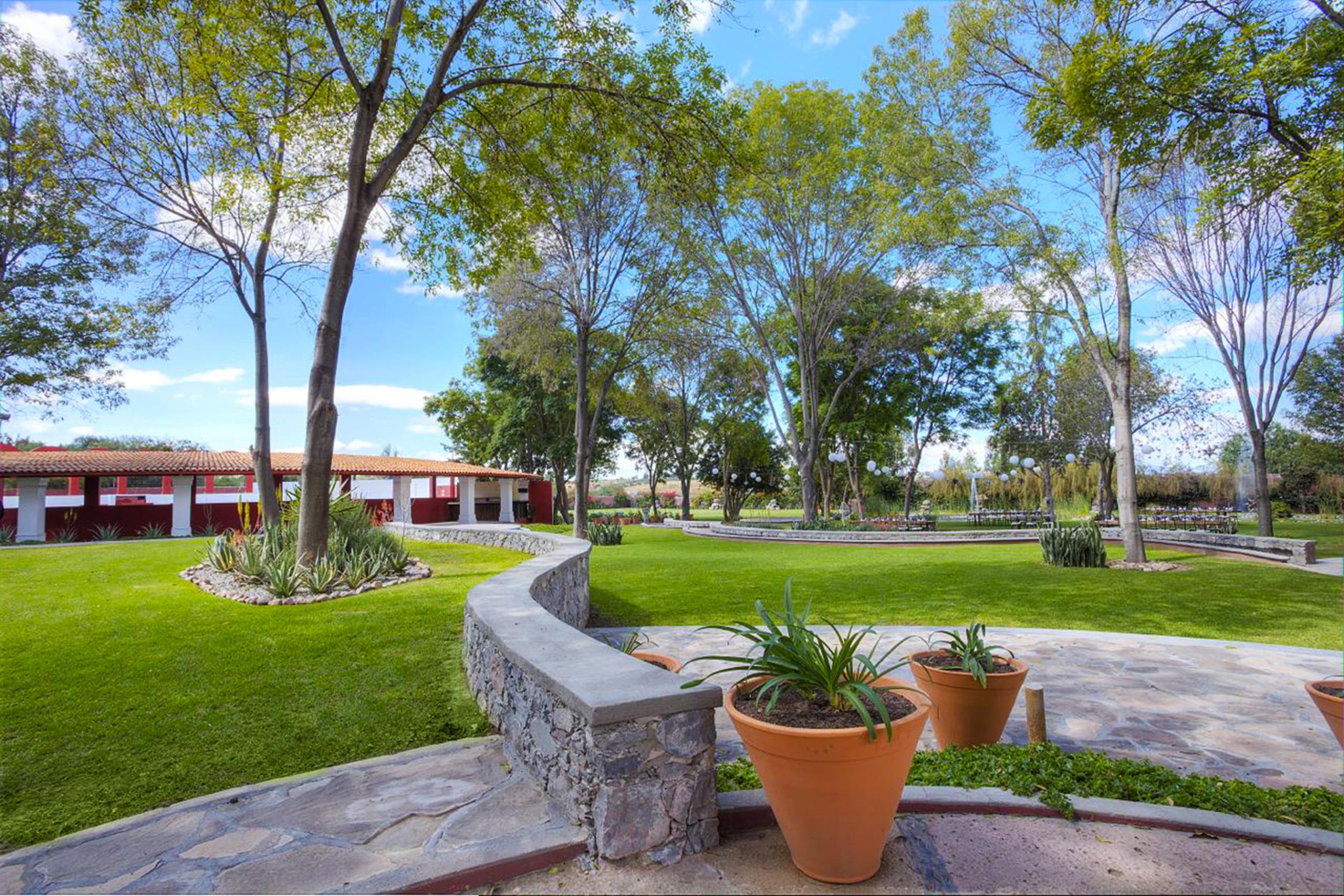 Real De Minas San Miguel De Allende Bagian luar foto View of the main square in San Marcos