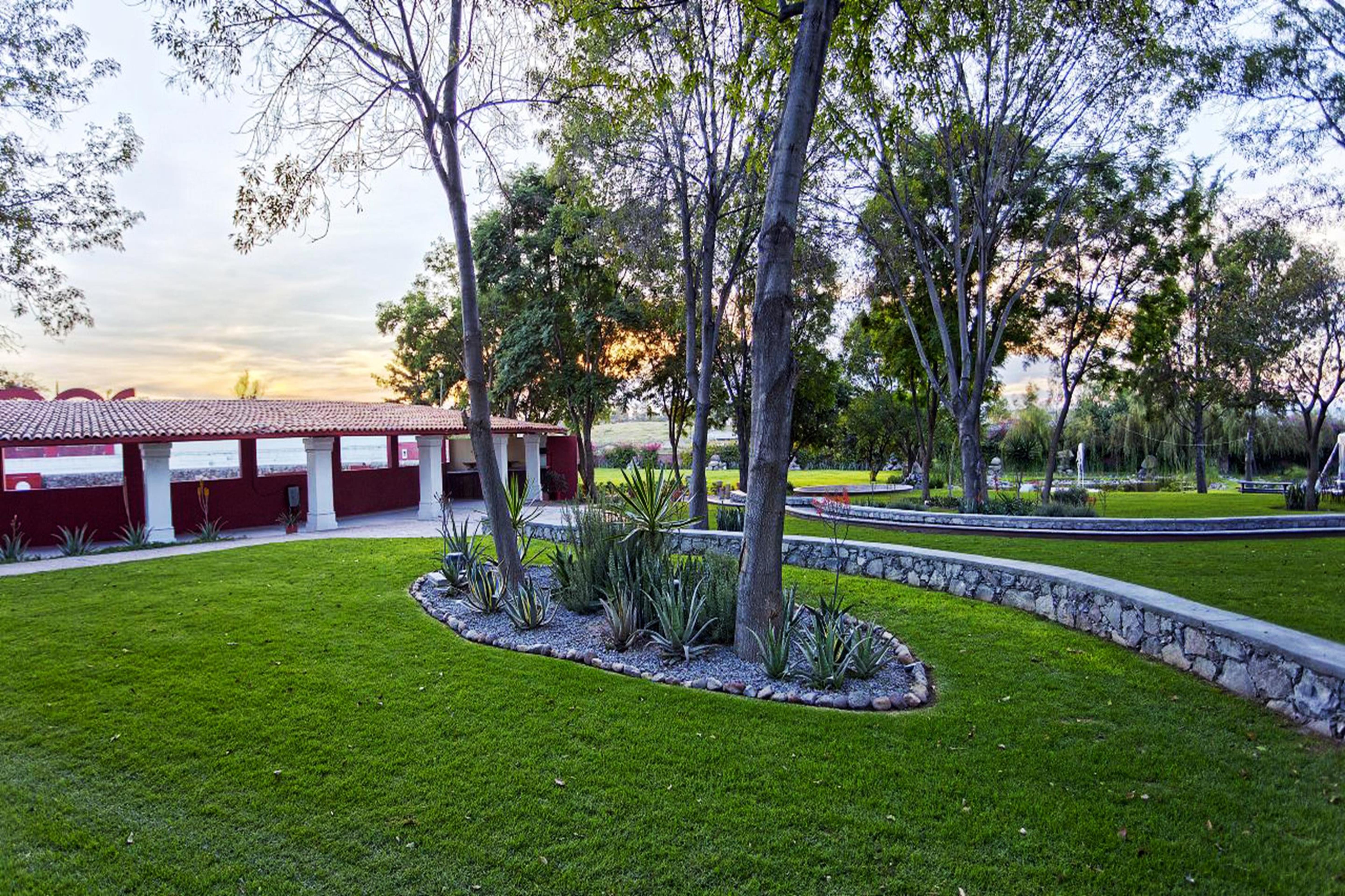 Real De Minas San Miguel De Allende Bagian luar foto View of the park